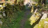Trail Walking Lavaldens - Le Mollard - Lac Rif Bruyant 01/10/2023 - Photo 4
