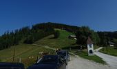 Trail On foot Kainach bei Voitsberg - Wanderweg 75 - Photo 3