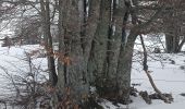 Randonnée Raquettes à neige La Pesse - L'Embossieux-La Croix des couloirs-La Pesse - Photo 18