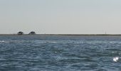 Percorso Motoscafo Arcachon - Tour de l'île aux Oiseaux - Photo 8