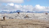 Tocht Stappen Vars - Motrice sud et nord - Photo 13