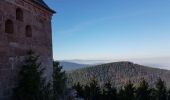 Tour Wandern Ottrott - Ottrott - châteaux d'Ottrott - Mont St Odile par le sentier des Merveilles - Photo 6