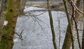 Tour Wandern Sainte-Ode - Marche ADEPS Sainte-Ode - Photo 20