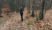 Trail Walking Saint-Laurent-de-Cerdans - St laurent de cerdans - Photo 1