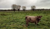 Tocht Stappen Mechelen - Mechels Broek  - Photo 19