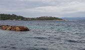 Excursión Senderismo Saint-Tropez - PRESQU'ÎLE DE SAINT TROPEZ - Photo 12