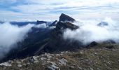 Tocht Stappen Gresse-en-Vercors - Pierre Blanche et Roche Rousse - Photo 11