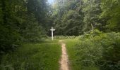 Trail Walking Compiègne - Randonnée en Forêt de Compiègne_51_le Mont du Tremble et les Beaux Monts - Photo 16