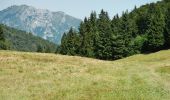 Trail On foot Riva del Garda - IT-O422 - Photo 8