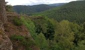 Trail Mountain bike Abreschviller - Abreschvillers La Croix Guillaume - Photo 1
