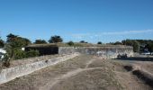 Percorso A piedi Rivedoux-Plage - Sentier du littoral - Photo 4