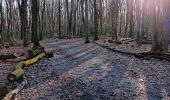 Randonnée Marche Écully - Le bois de Serres - Photo 3