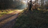 Trail Walking Nancray - Nancray-danse - Photo 5