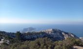 Tour Wandern Marseille - Pastre - Marseilleveyre 11.2.23  - Photo 12