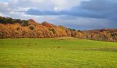 Tour Wandern Vernon - Les falaises de Seine de Vernon à Mantes la Jolie - Photo 5