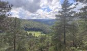 Tour Wandern Saint-Georges-en-Couzan - Randonnée au dessus de Vaux - Photo 6