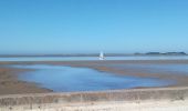 Randonnée V.T.C. Rochefort - Rochefort -les marais-embouchure de la Charente  - Photo 8