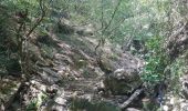 Trail Walking Dolcedo - Laghetti di Lecchiore - Photo 8