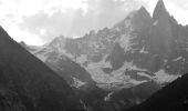 Tocht Stappen Chamonix-Mont-Blanc - Hôtel la Flégère - GR TMB - Lacs de Chéserys - Photo 15