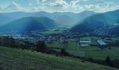 Tocht Stappen Oderen - TREK ALSACIEN (boucle, la meute) - Photo 6