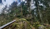 Trail Walking Thiéfosse - gorges de Crosery  - Photo 1