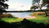 Percorso A piedi Wandlitz - Wanderweg Basdorf-Schönerlinde - Photo 5