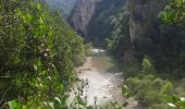 Tour Wandern La Palud-sur-Verdon - sentier blanc Martel depuis Chalet les Malines - Photo 7