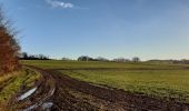 Tour Wandern Maisnil-lès-Ruitz - Terrils jumeaux des Falandes et du Pays à Part - Photo 4