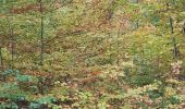 Tocht Mountainbike Saint-Clément - sortie vtt du 01112018 - Photo 1
