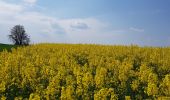 Tour Mountainbike Walcourt - Balade dans l'entité de Walcourt  - Photo 2