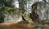 Trail Walking Ribeauvillé - boucle la grande verrerie-roche des 3 tables-roche des reptiles-roche des géants-la grande verrerie  - Photo 7