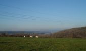 Tour Wandern Quevillon - 20211218-Quevillon  - Photo 10