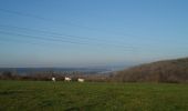 Trail Walking Quevillon - 20211218-Quevillon  - Photo 10