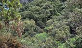 Tour Wandern Mons - Gorges d'Héric depuis Mons - Photo 16