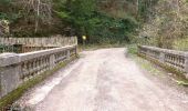 Tocht Stappen Saou - TRK000 - Photo 9