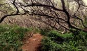 Trail Walking Bandol - Boucle Bandol - Port d'Alon - Dune de sable - La Madrague - Port d'Alon - Bandol - Photo 3