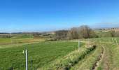 Trail Walking Mont-de-l'Enclus - Amougies 16 km - Photo 5