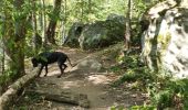 Trail Walking Châteaufort - gitane à  Chateaufort  - Photo 2