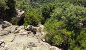 Trail Walking Saint-Martin-de-l'Arçon - le Caroux - Photo 16