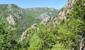 Trail Walking Prévenchères - Garde Guérin /Gorges du chassezac - Photo 1