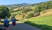 Tocht Stappen Lapoutroie - La tour du Faudé - Photo 13