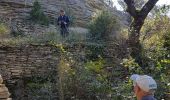 Trail Walking Saumane-de-Vaucluse - Saumane de Vaucluse  - Photo 16