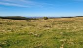 Tocht Stappen Saint-Sauves-d'Auvergne - Charlannes-la_charbonnière-la_Stéle - Photo 9