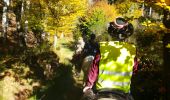 Tour Reiten Saint-Sauveur - saint sauveur gros chêne château turquestein - Photo 13