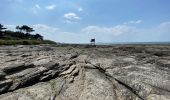 Randonnée Marche Préfailles - Boucle en pointe de Saint Gildas - Photo 8