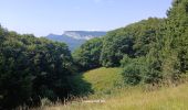 Trail Walking Apremont - Boucle du Mont Joigny depuis le col du Granier - Photo 10