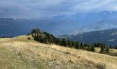 Tocht Stappen Cordon - LES MOUILLES-PIC NOIR-LA CABANE DU PETIT PATRE - Photo 1