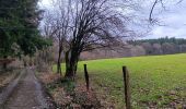 Tocht Stappen Ferrières - bosson . burnontige . lantroule . Le grand trixhe . bosson  - Photo 4