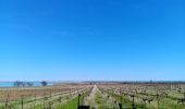 Tocht Stappen Villeneuve-lès-Maguelone - cathédrale de Maguelone  - Photo 7