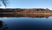 Tour Wandern La Chaux-du-Dombief - Pic de l'Aigle - Photo 2